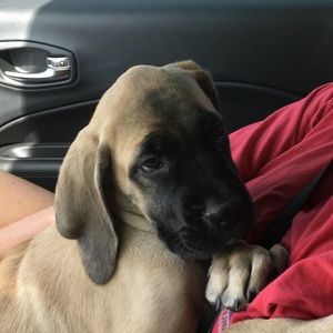 Meet your Posher, Leslie